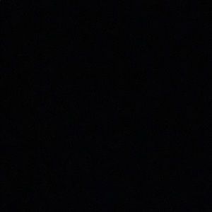 Meet your Posher, Tawny